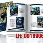 in catalogue tphcm